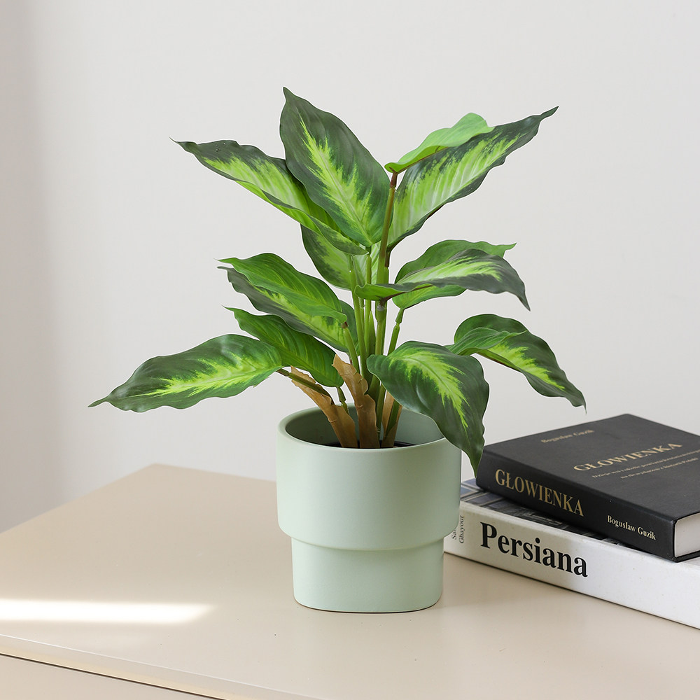 Greenery & Plants