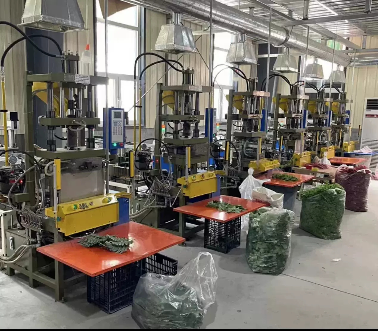 Our Factory