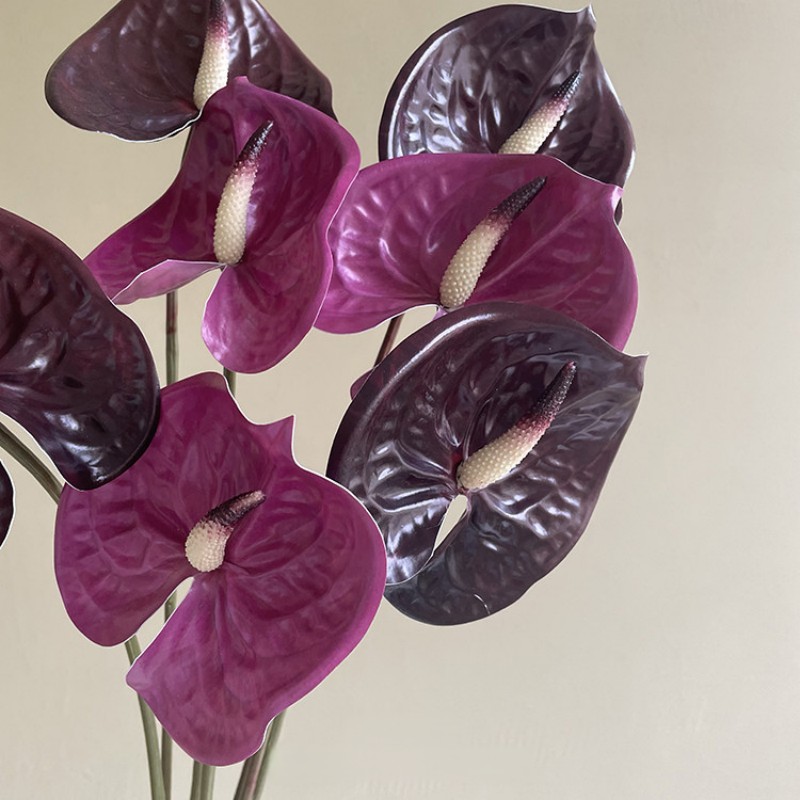 Real Touch Paphiopedilum Lady’s Slipper Orchid Wholesale | Kingyee Flora