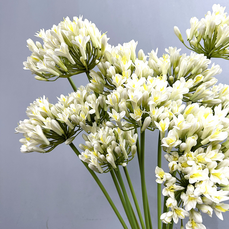 Artificial Agapanthus Lily of the Nile Wholesale | Kingyee Flora - Image 7