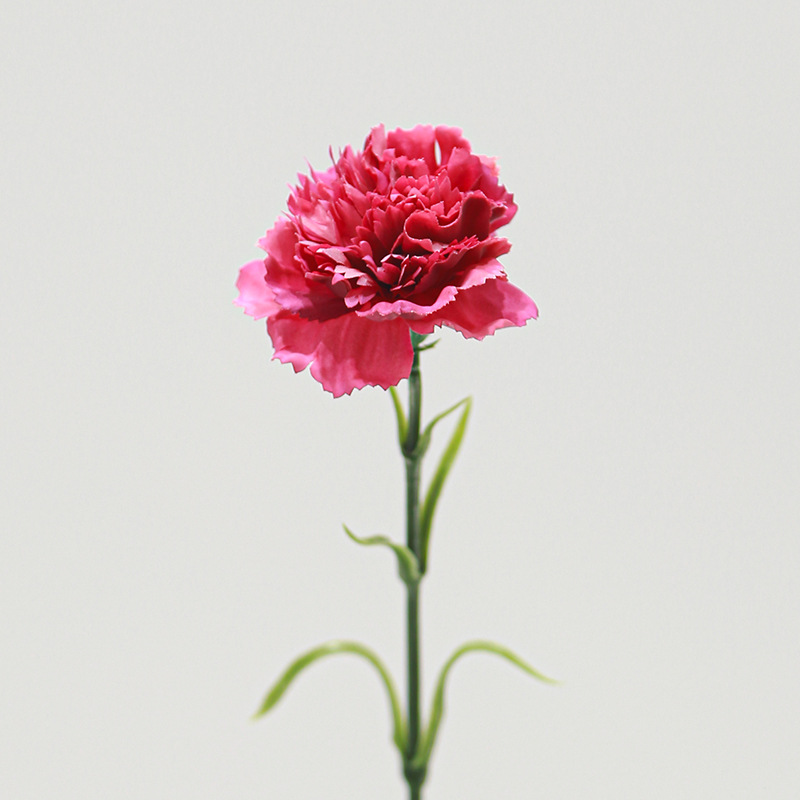 Artificial Carnation Single Stem Wholesale | Kingyee Flora - Image 11