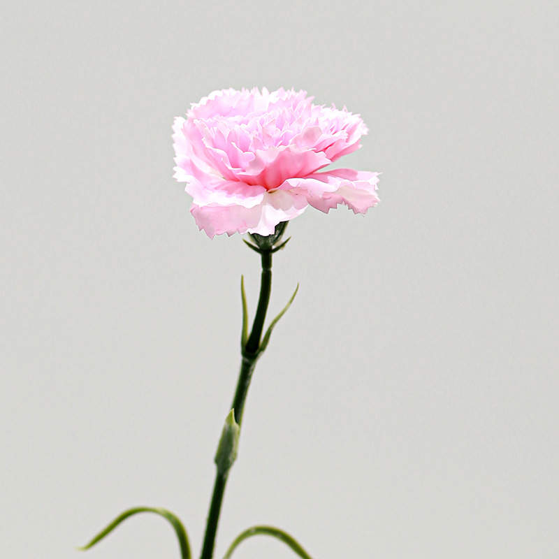 Artificial Carnation Single Stem Wholesale | Kingyee Flora - Image 5
