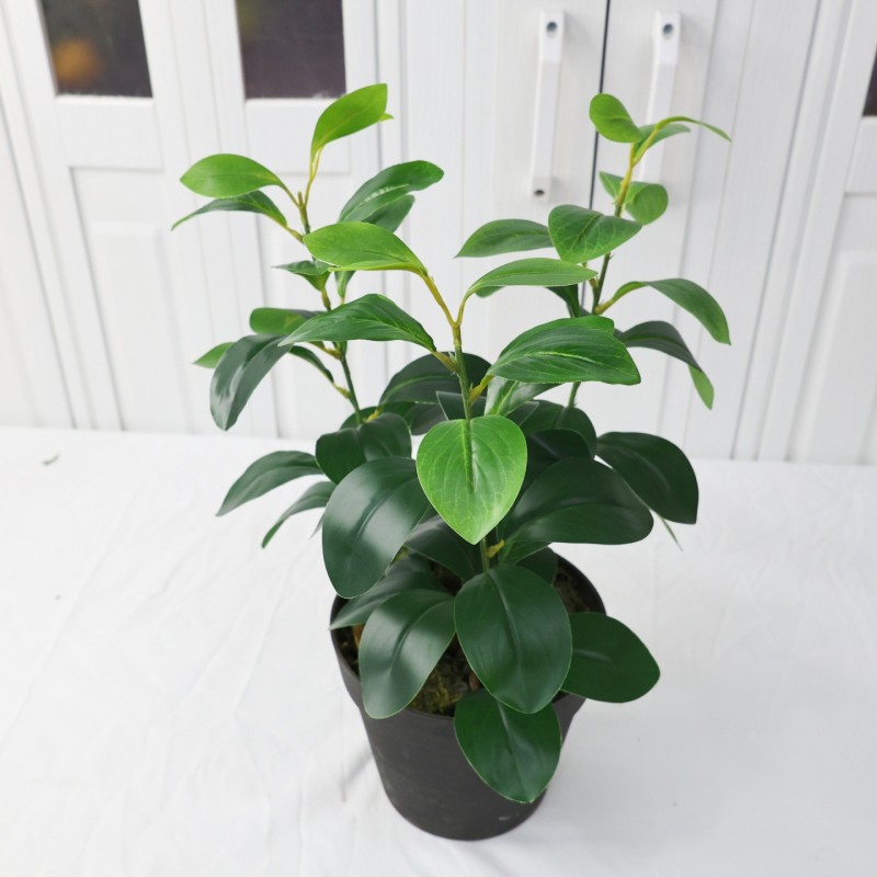 Artificial Laurel Leaf Stem Filler Greenery Wholesale | Kingyee Flora