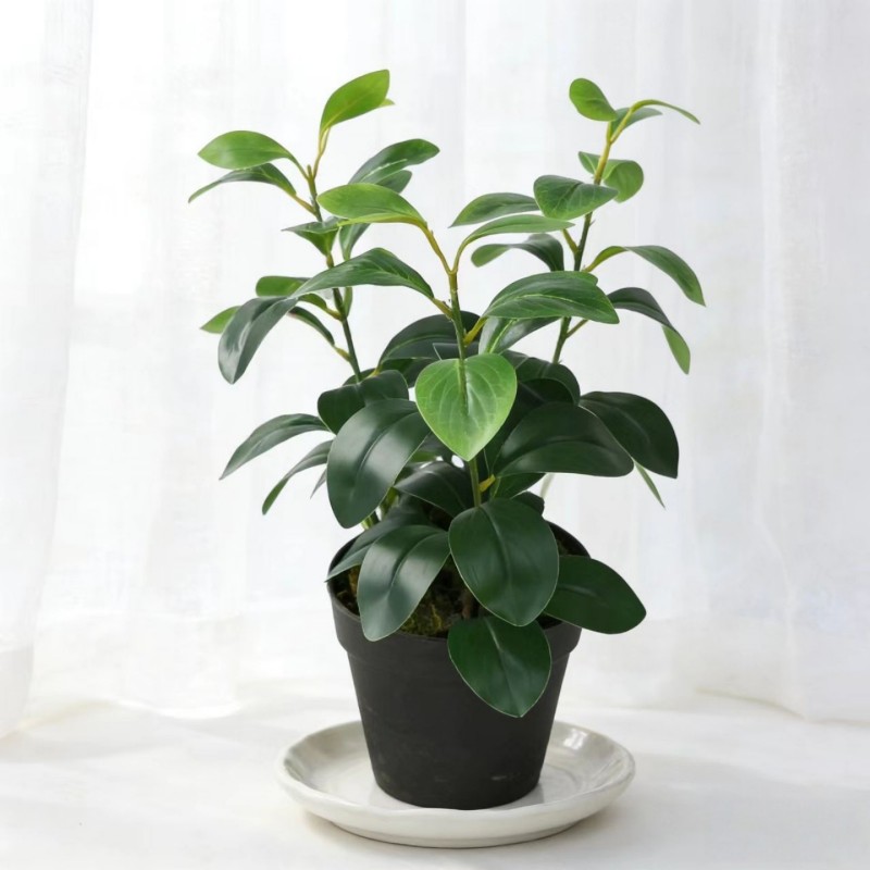 Artificial Laurel Leaf Stem Filler Greenery Wholesale | Kingyee Flora - Image 7