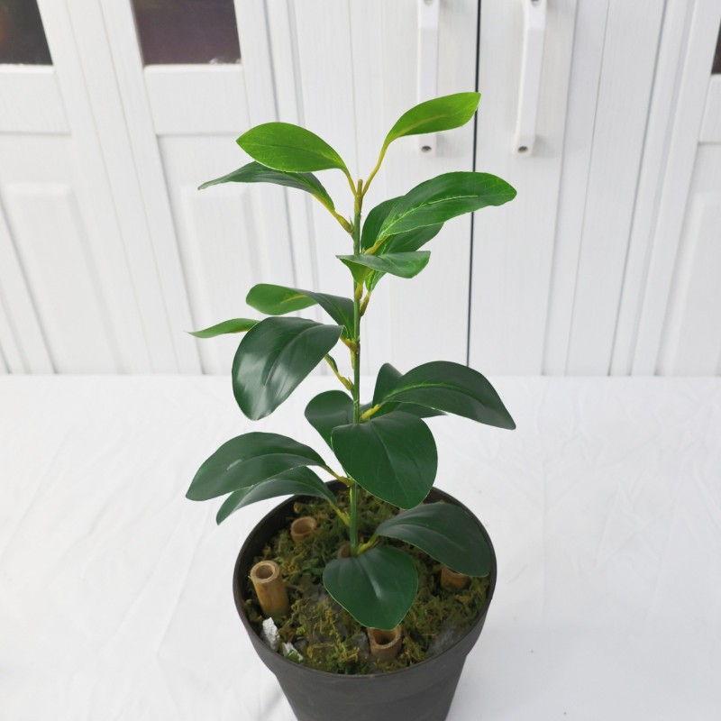 Artificial Laurel Leaf Stem Filler Greenery Wholesale | Kingyee Flora - Image 8