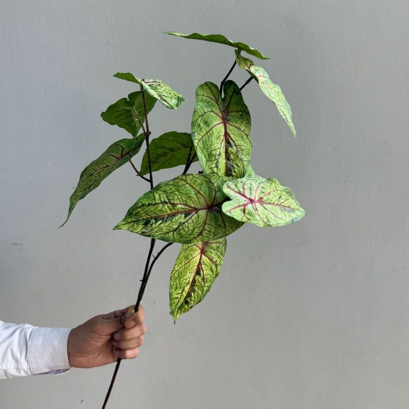 Artificial Caladium Leaf Greenery Stem Wholesale | Kingyee Flora - Image 6