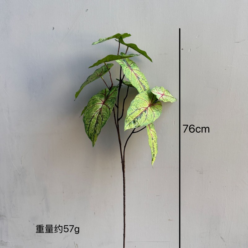 Artificial Caladium Leaf Greenery Stem Wholesale | Kingyee Flora - Image 11