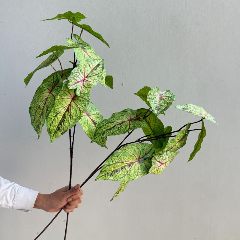 Artificial Caladium Leaf Greenery Stem Wholesale | Kingyee Flora - Image 4