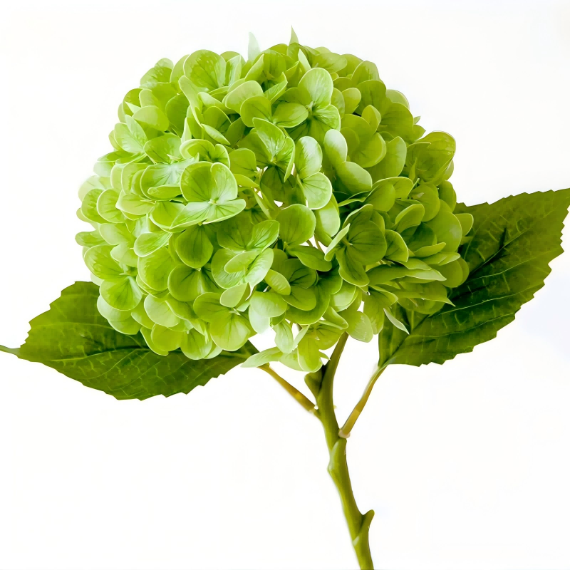 Artificial Hydrangea Stem - Real Touch Silk Flower, 48cm Long, 17cm Bloom, Bulk Wholesale for Wedding & Home Decor | Kingyee Flora