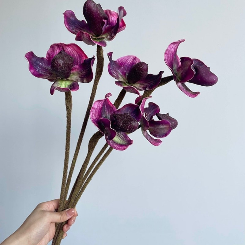 Real Touch Paphiopedilum Lady’s Slipper Orchid Wholesale | Kingyee Flora
