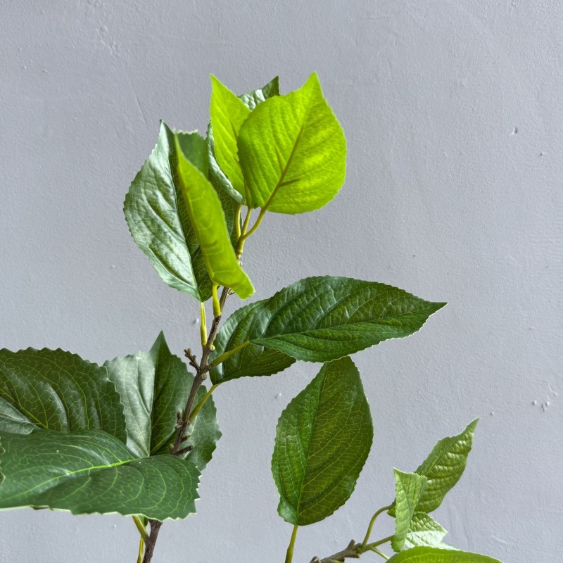 Real-Touch Hydrangea Leaf Greenery Stem Wholesale | Kingyee Flora - Image 4