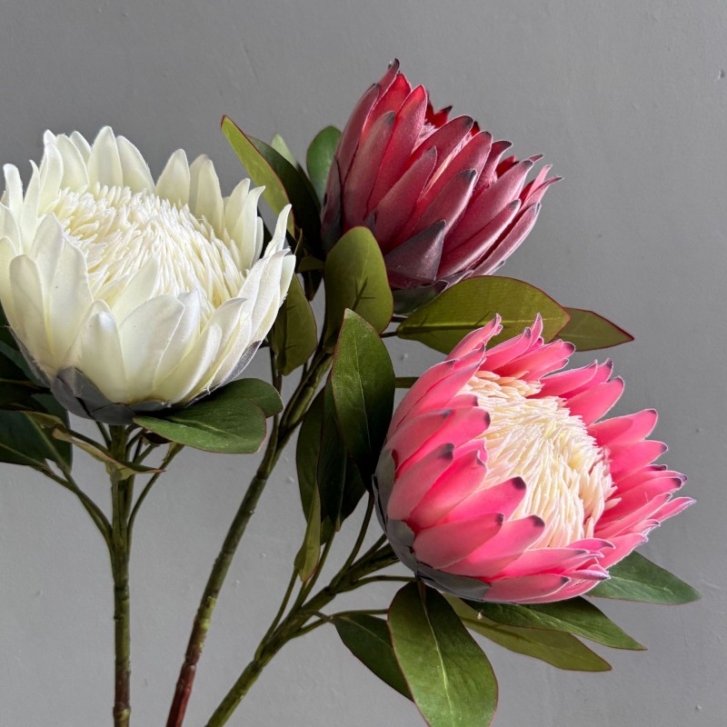 Artificial King Protea Flower Wholesale | Kingyee Flora