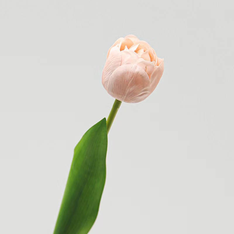 Real Touch Camellia Tulip Artificial Flower Stem Wholesale | Kingyee Flora - Image 4