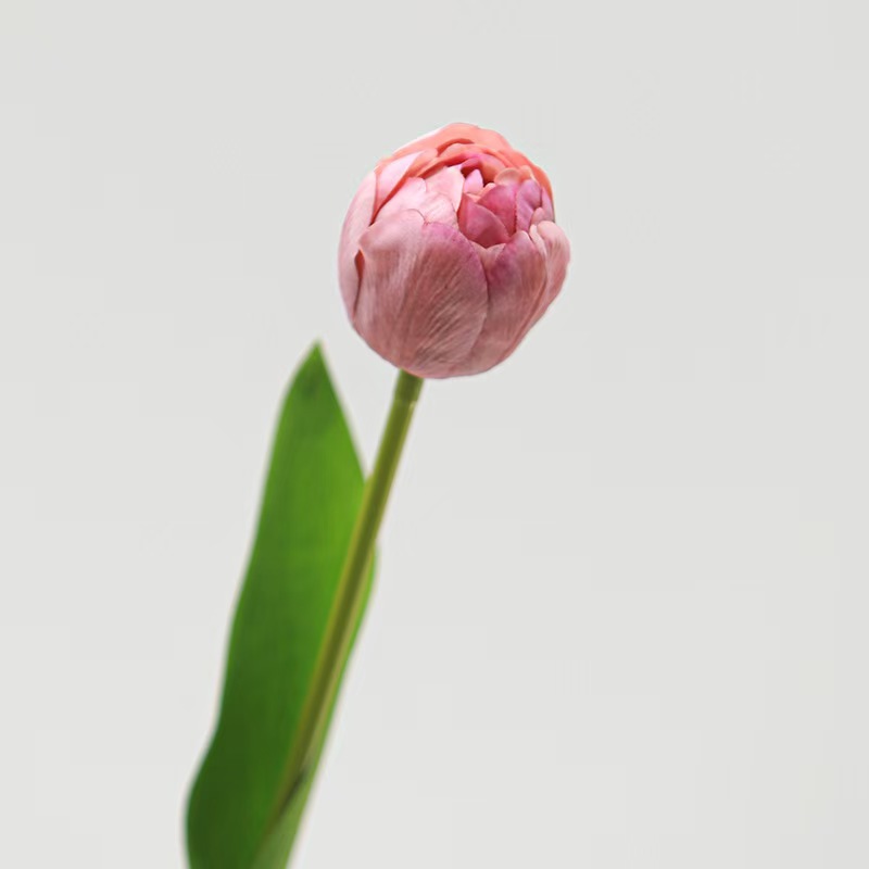 Real Touch Camellia Tulip Artificial Flower Stem Wholesale | Kingyee Flora