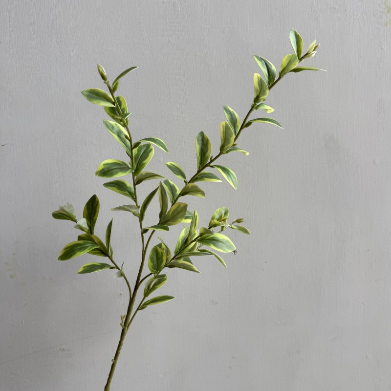 Artificial Goji Berry Leaf Greenery Stem Wholesale | Kingyee Flora