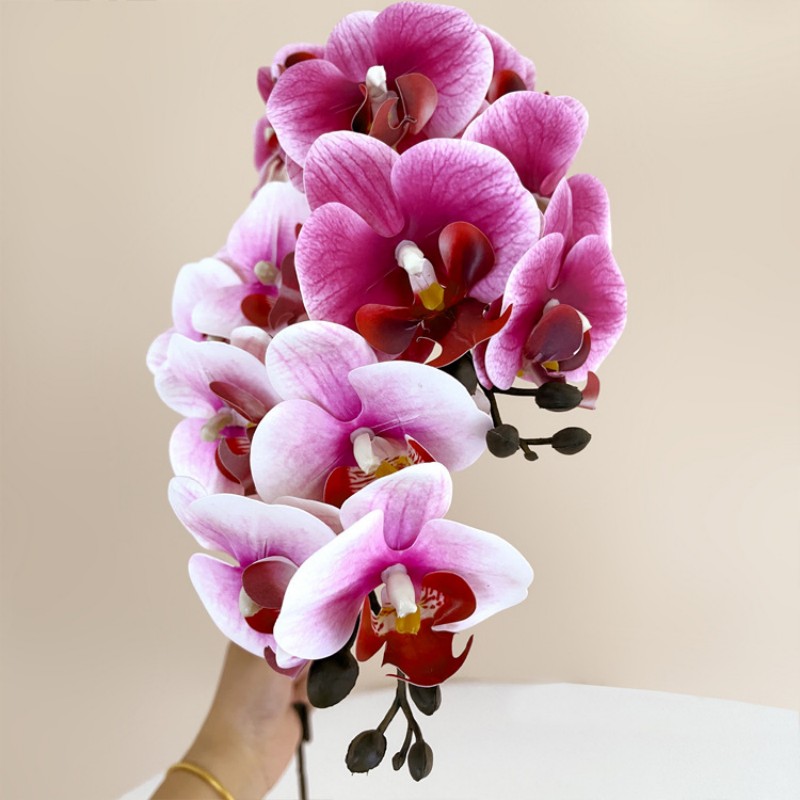 Single Stems